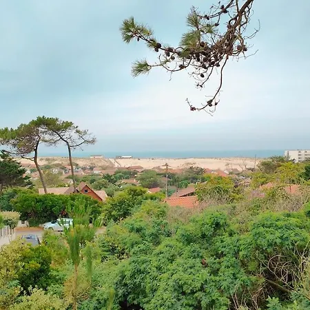 Iris Jacuzzi Vue * Lacanau